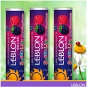 Protector Solar Labial Humectante Mora Frambuesa F15 4.25g