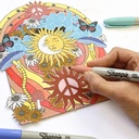 8 Plumones Marcador Permanente Sharpie Colores Vintage
