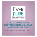 Componente_7542_8588_Acondicionador Everpure Repair & Defend 250 Ml